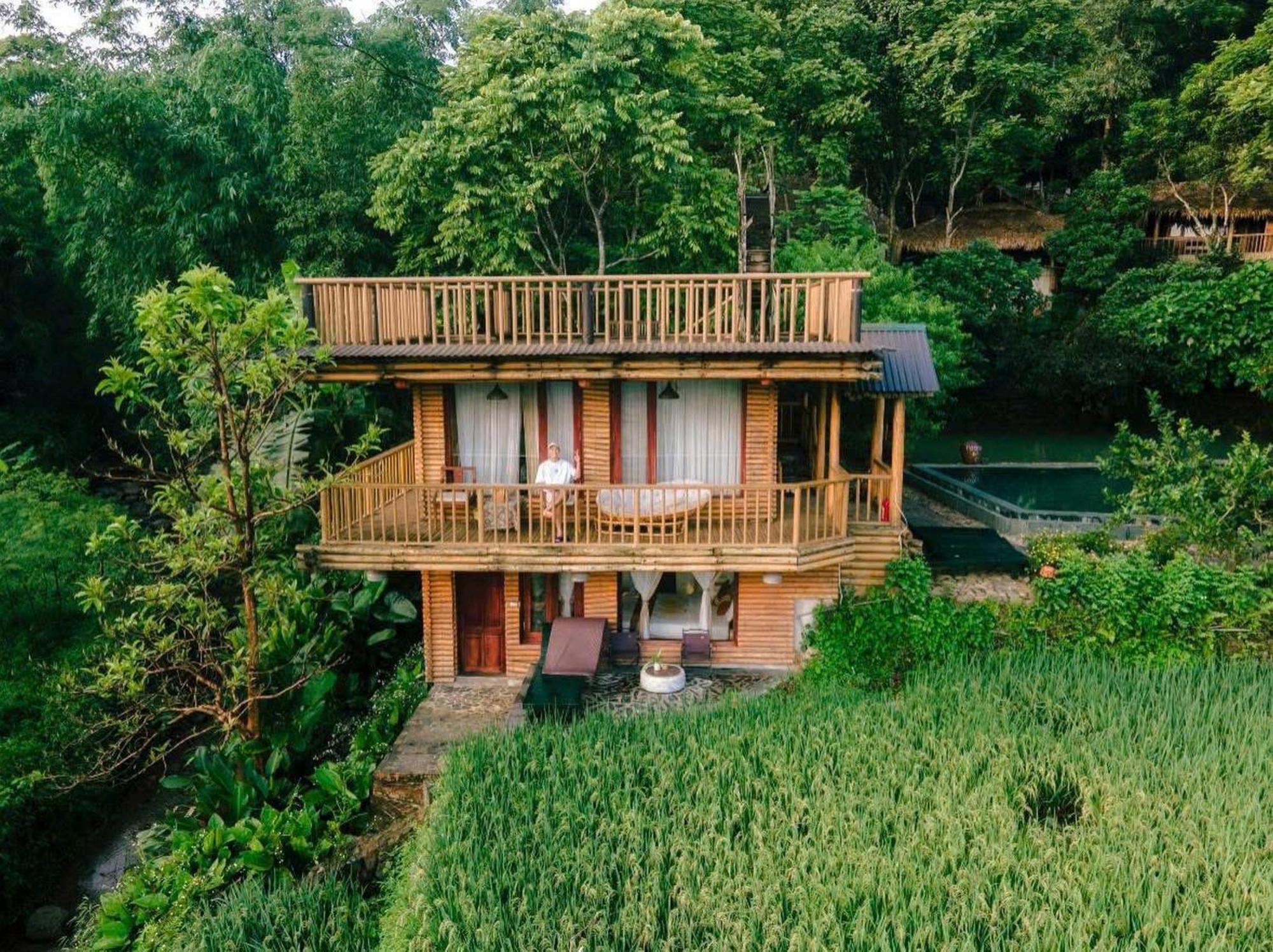 Jungle 4*